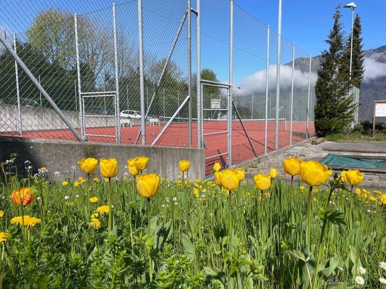Lakehill72 Seelisberg Zewnętrze zdjęcie
